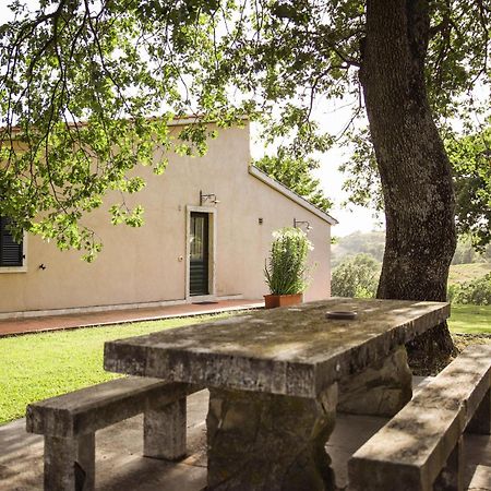 Гостевой дом Country House Poggio Aione Catabbio Экстерьер фото
