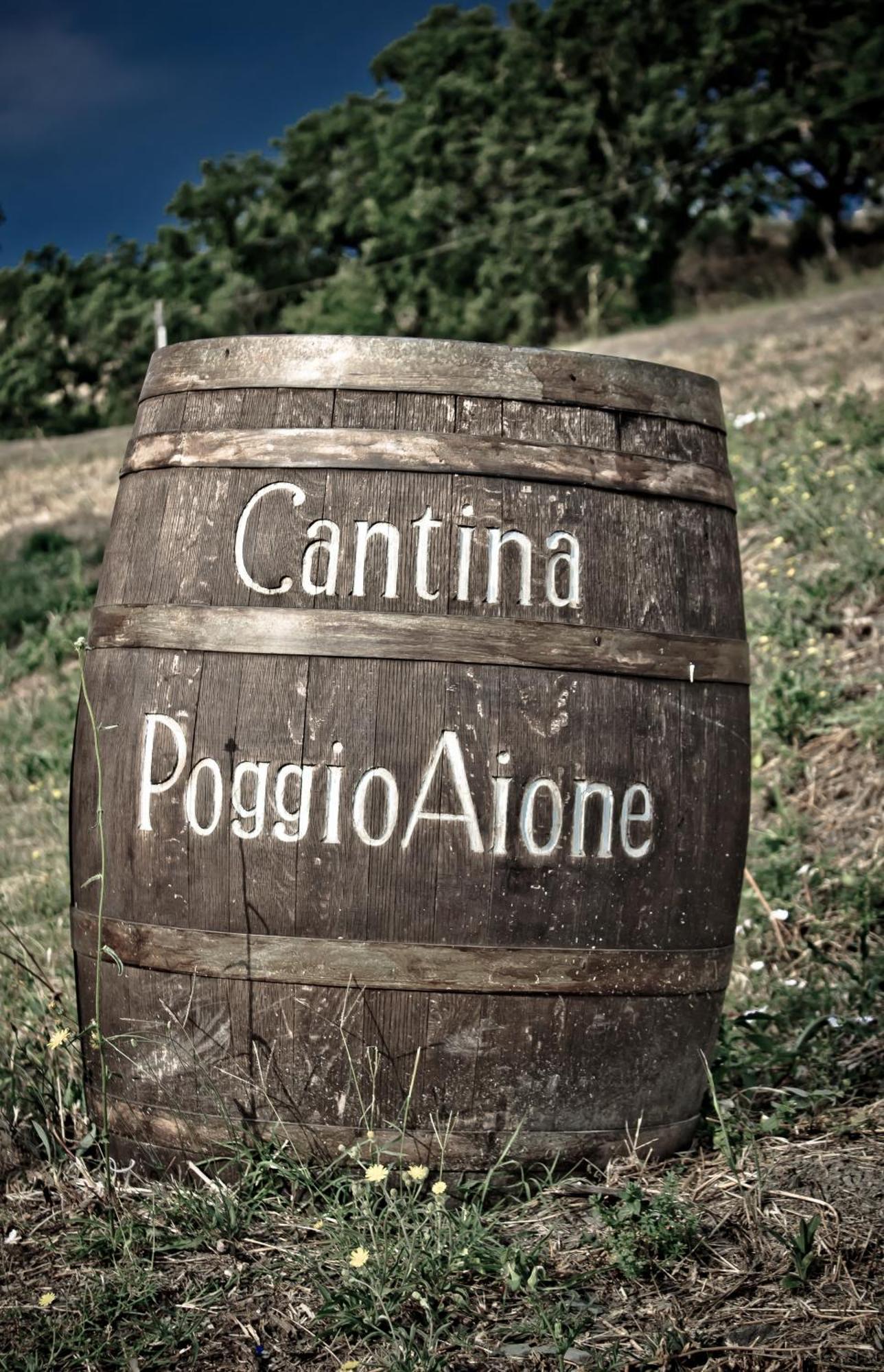 Гостевой дом Country House Poggio Aione Catabbio Экстерьер фото