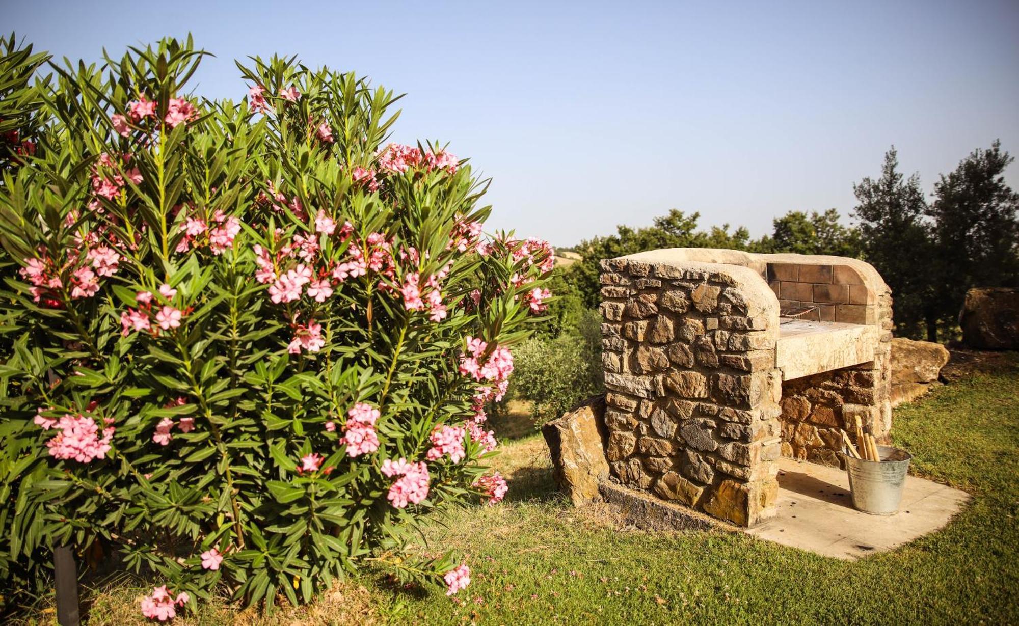 Гостевой дом Country House Poggio Aione Catabbio Экстерьер фото